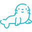 Seals: Approx 2 - 3 years